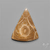 Moroccan Fossil Coral Cabochon