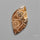 Moroccan Fossil Coral Cabochon