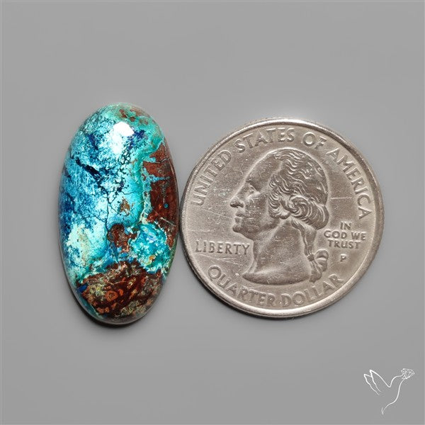 Azurite and Shattuckite Cabochon