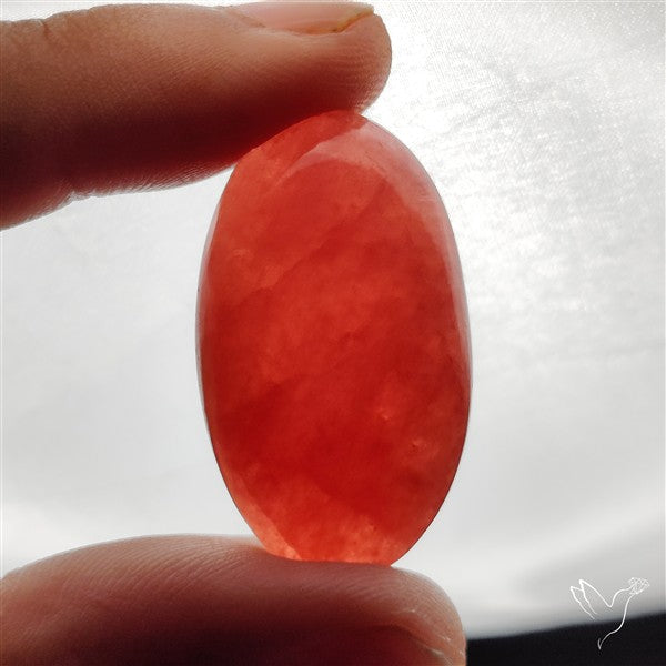 Gemmy Rhodochrosite Cabochon