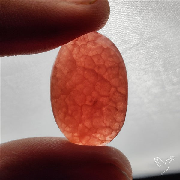 Gemmy Rhodochrosite Cabochon