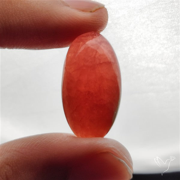 Gemmy Rhodochrosite Cabochon
