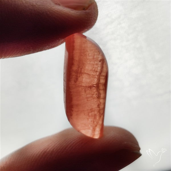 Gemmy Rhodochrosite Cabochon