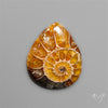 Fossilized Ammonite Cabochon Small