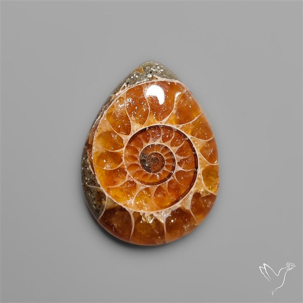 Fossilized Ammonite Cabochon Small