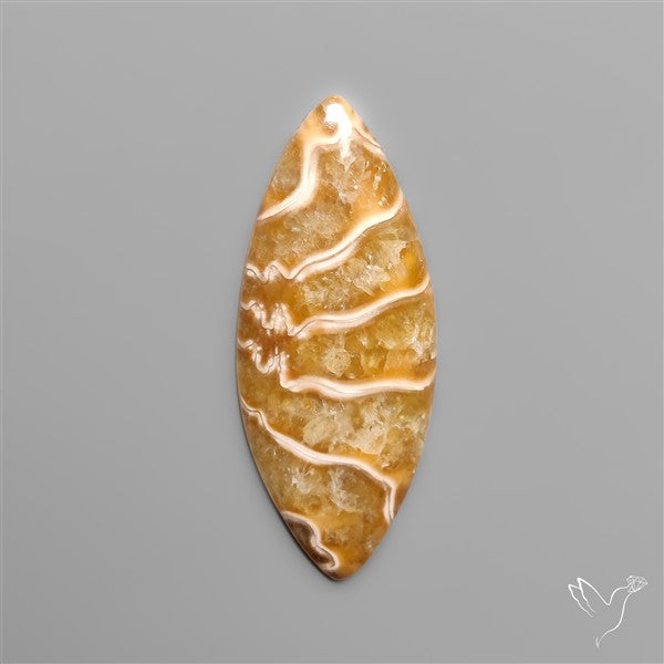 Suture Ammonite Fossil Cabochon