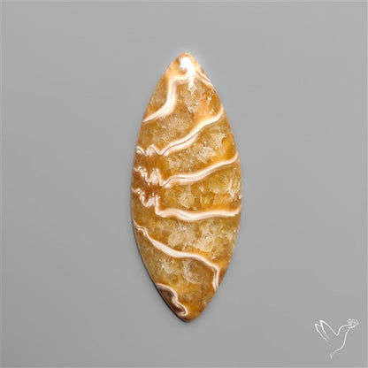 Suture Ammonite Fossil Cabochon