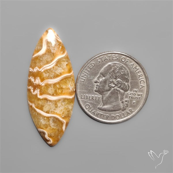 Suture Ammonite Fossil Cabochon
