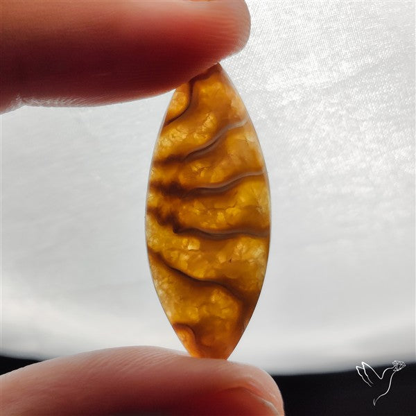 Suture Ammonite Fossil Cabochon