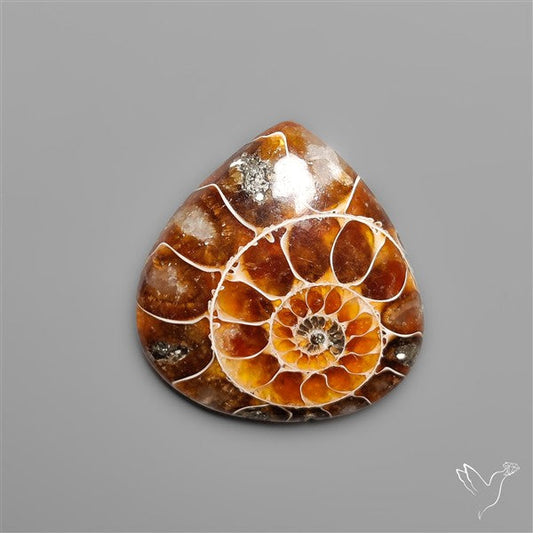 Gemmy Ammonite Fossil Cabochon