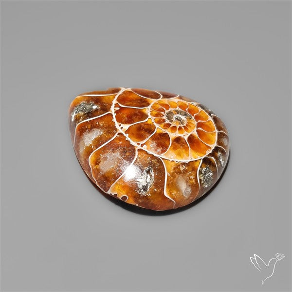 Gemmy Ammonite Fossil Cabochon