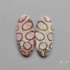Fossil Corals Pair
