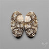 Fossil Corals Pair