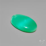 Gemmy Australian Chrysoprase Cabochon