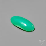 Gemmy Australian Chrysoprase Cabochon