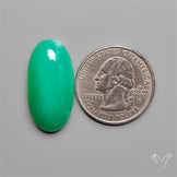 Gemmy Australian Chrysoprase Cabochon