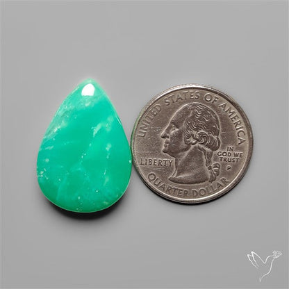 Gemmy Australian Chrysoprase Cabochon