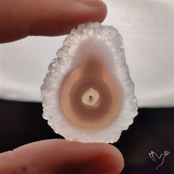 Solar Quartz Stalactite Slice