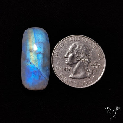 Rainbow Moonstone Cabochon
