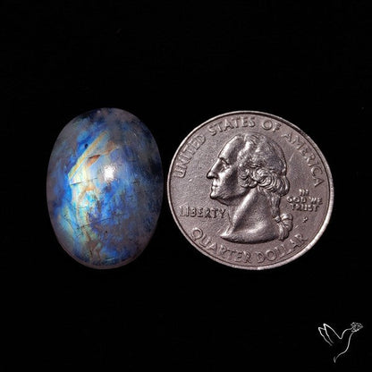 Rainbow Moonstone Cabochon