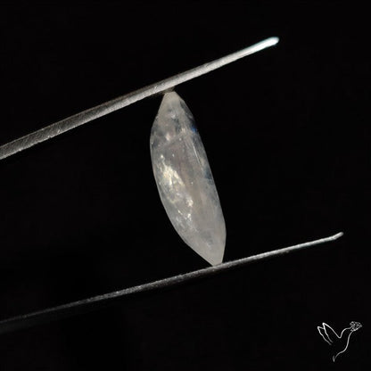 Faceted Rainbow Moonstone