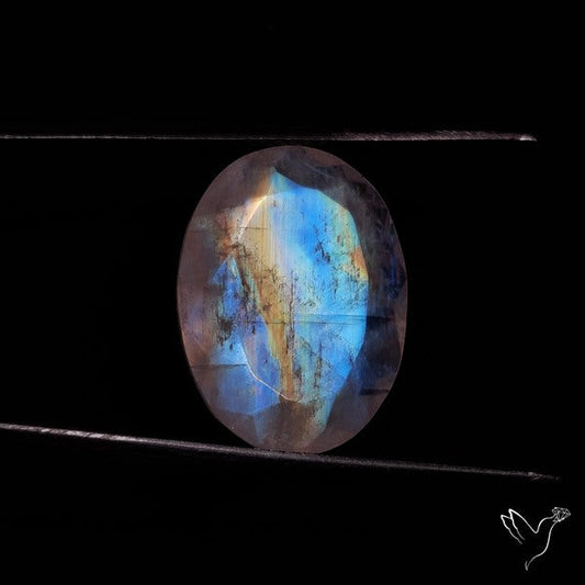 Faceted Rainbow Moonstone