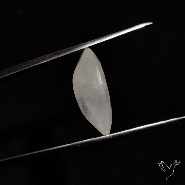Faceted Rainbow Moonstone