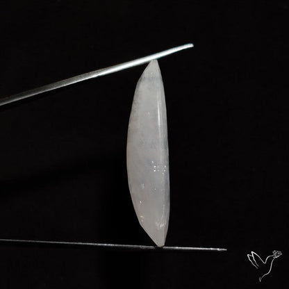 Faceted Large Rainbow Moonstone