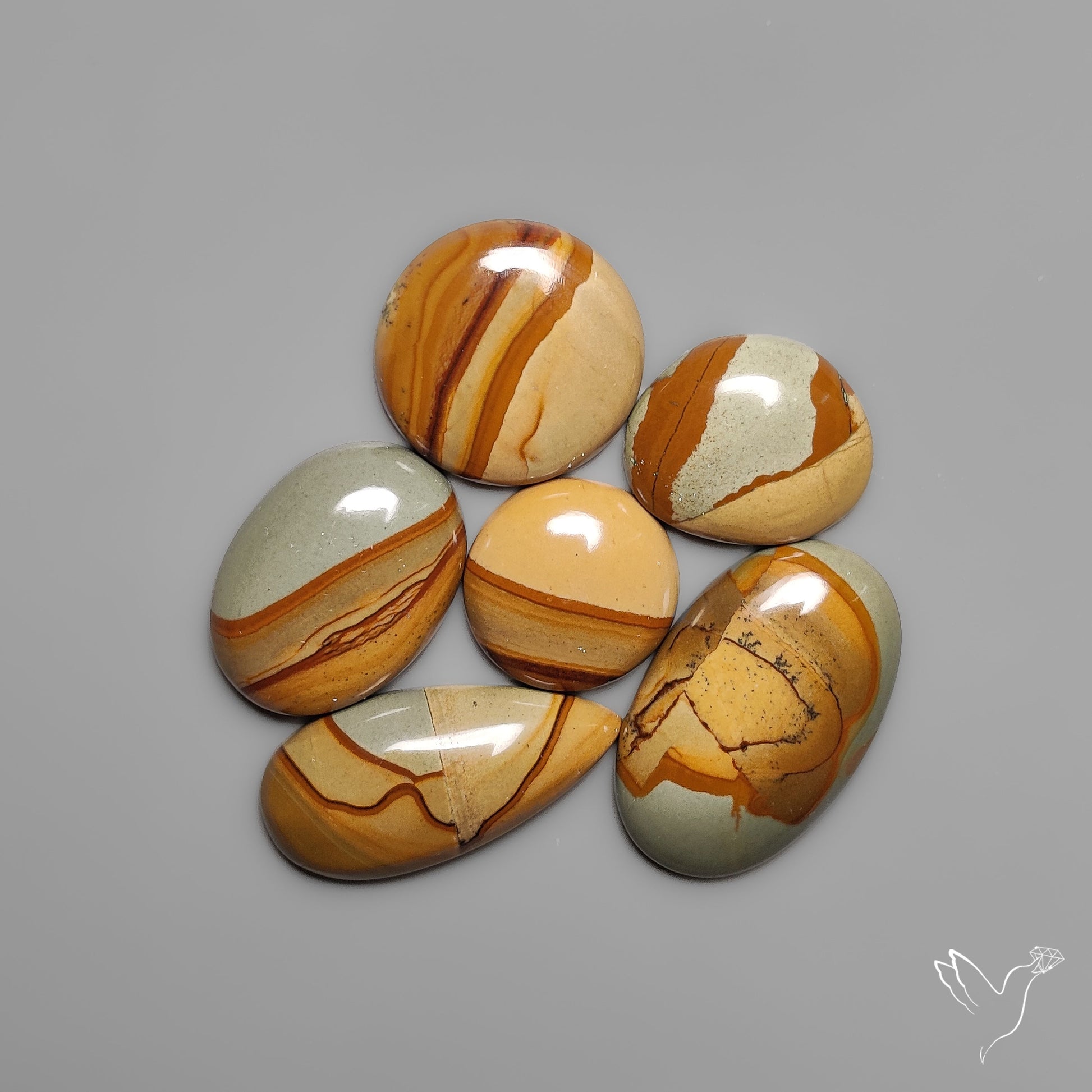 Owyhee Picture Jaspers Lot (aka Wildhorse Picture Jasper)
