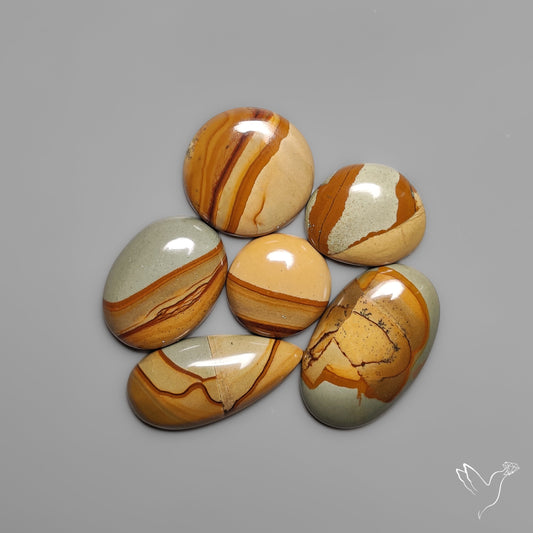 Owyhee Picture Jaspers Lot (aka Wildhorse Picture Jasper)