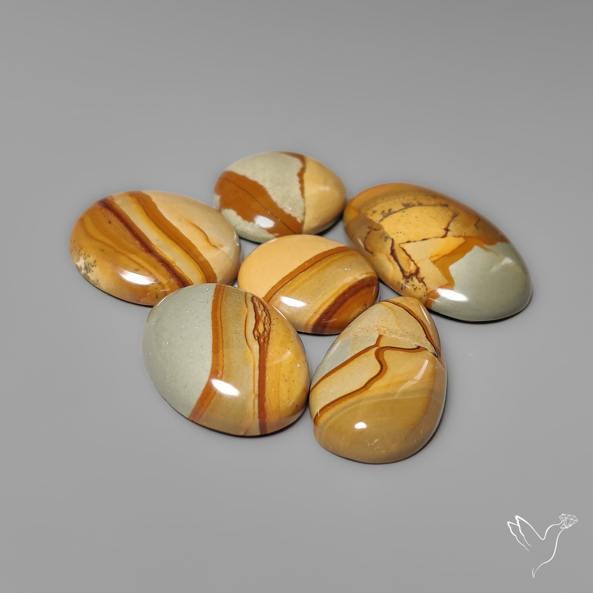Owyhee Picture Jaspers Lot (aka Wildhorse Picture Jasper)