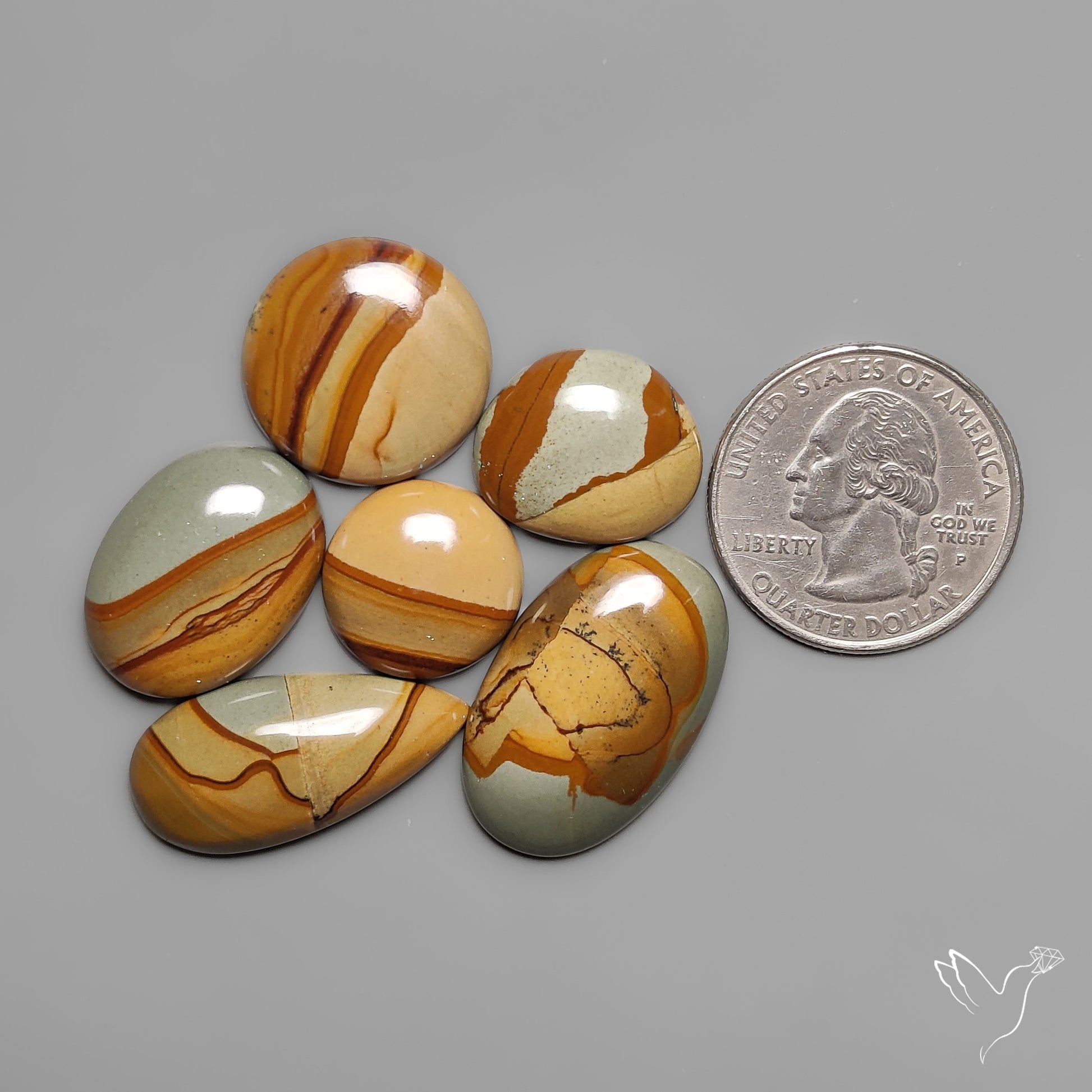 Owyhee Picture Jaspers Lot (aka Wildhorse Picture Jasper)