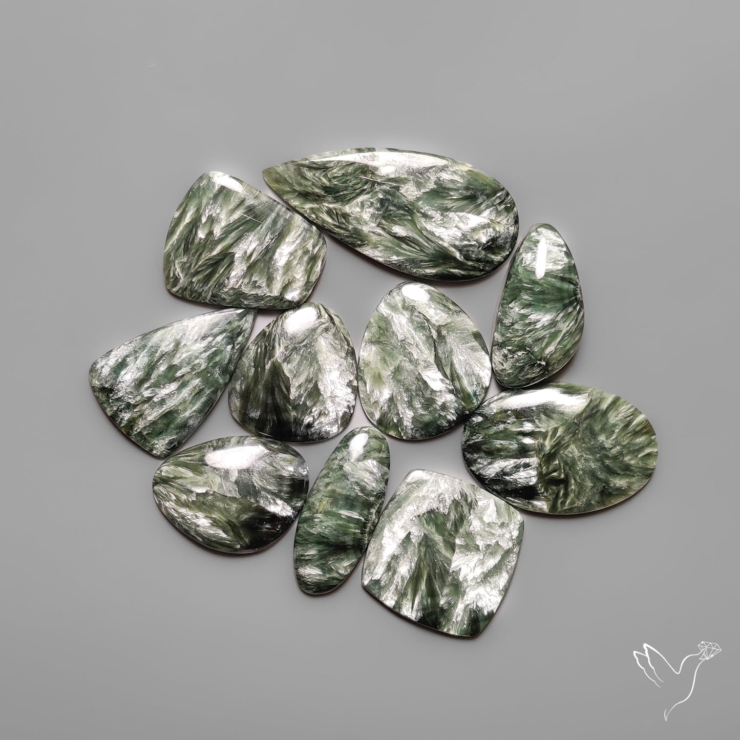 Seraphinites Lot