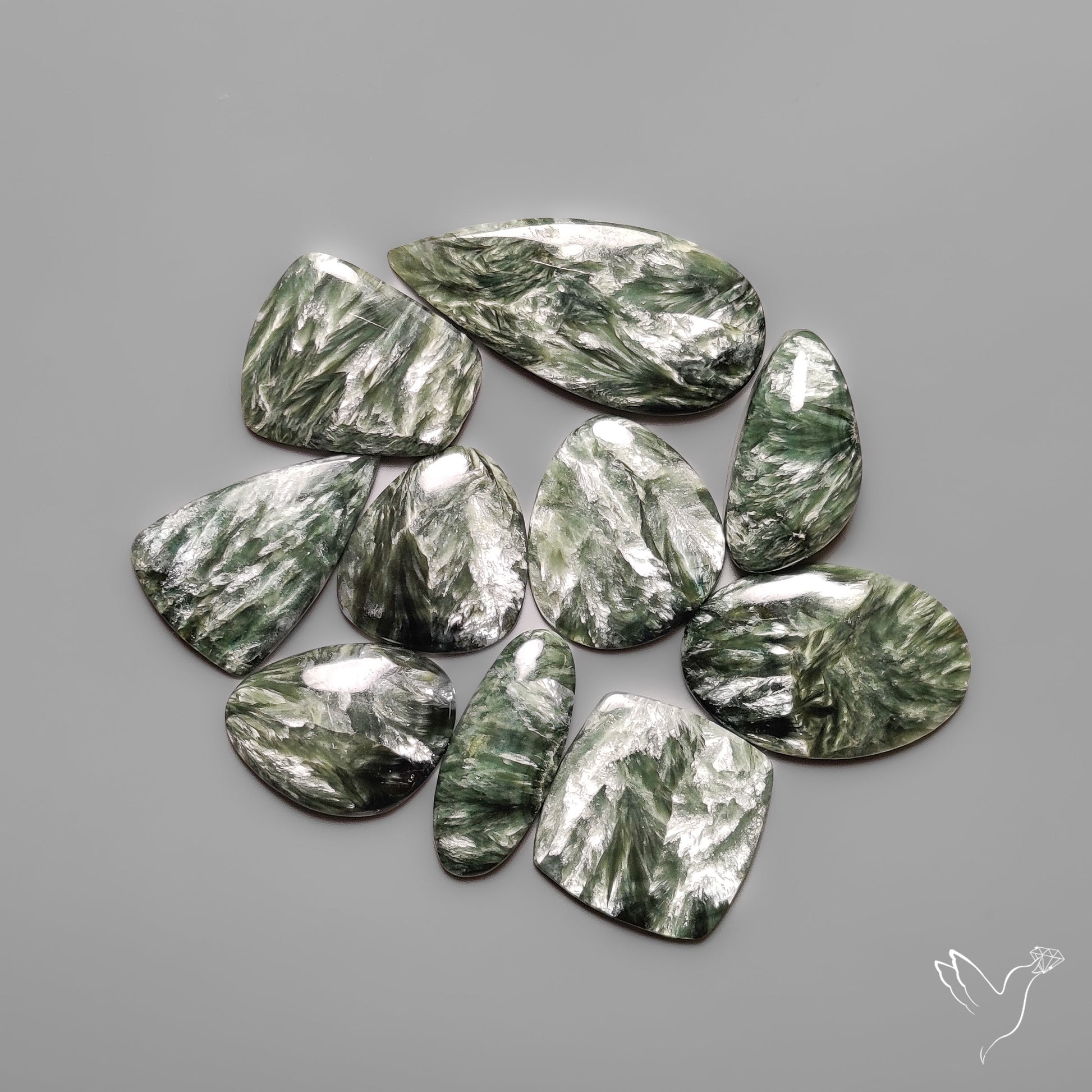 Seraphinites Lot