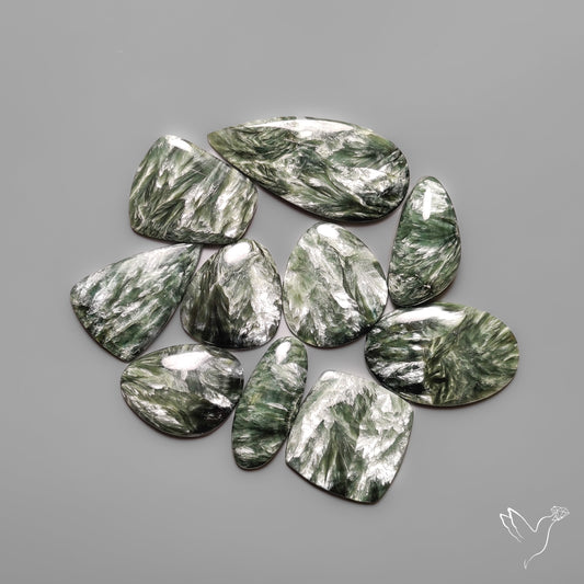 Seraphinites Lot