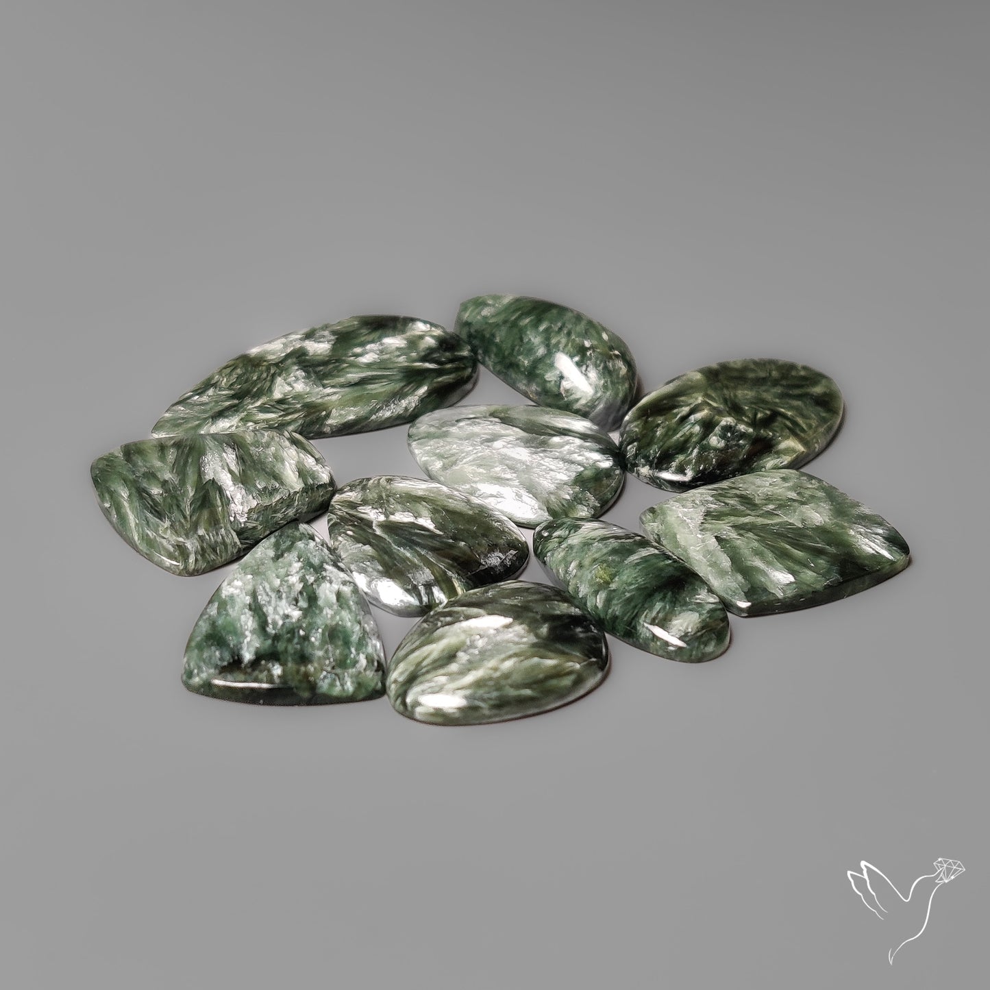 Seraphinites Lot