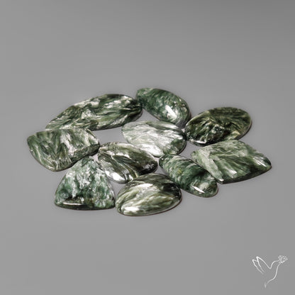 Seraphinites Lot