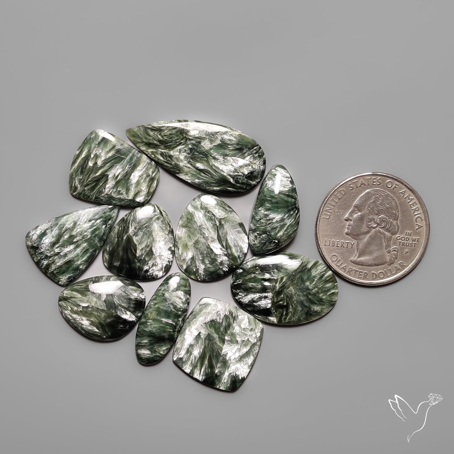 Seraphinites Lot