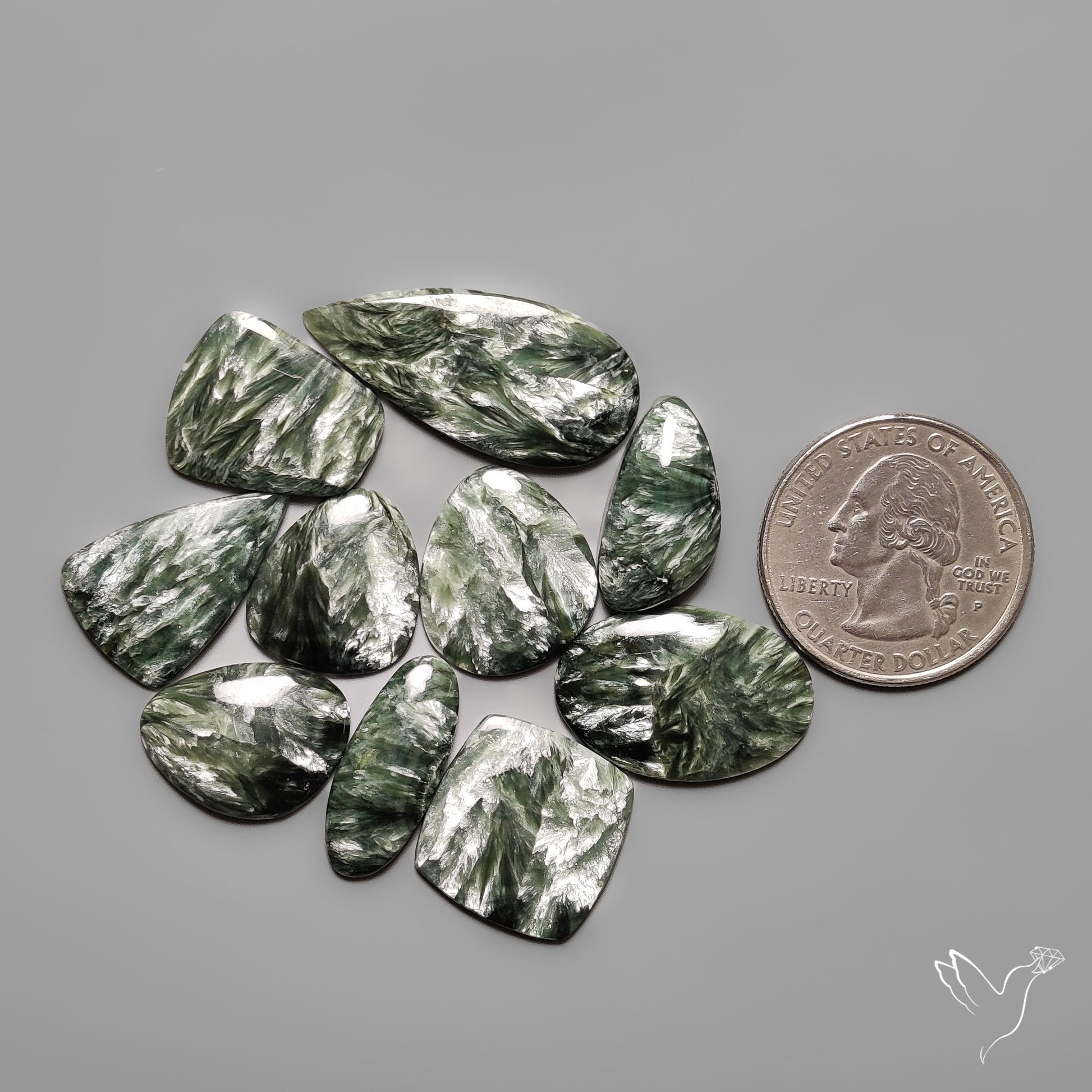 Seraphinites Lot