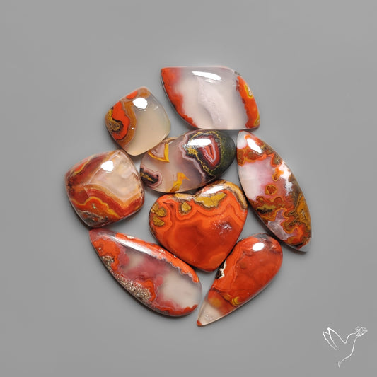 Moroccan Seam Agates Lot