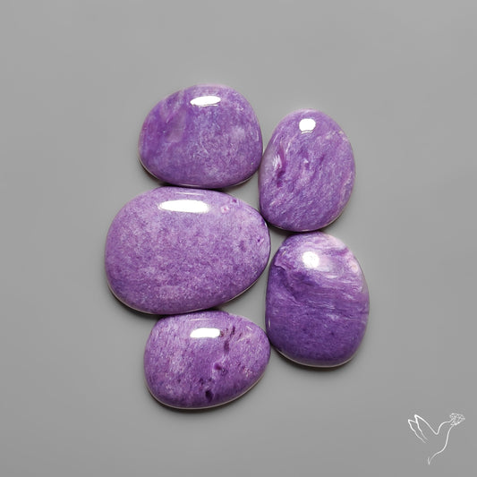 Gem Charoites Plain and Clear Lot