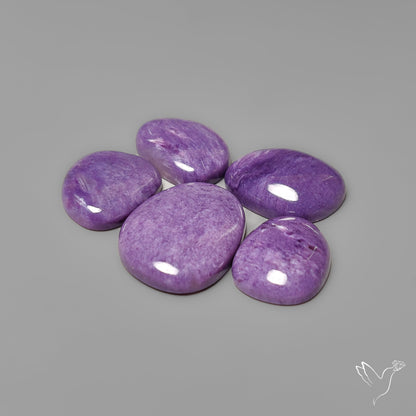 Gem Charoites Plain and Clear Lot