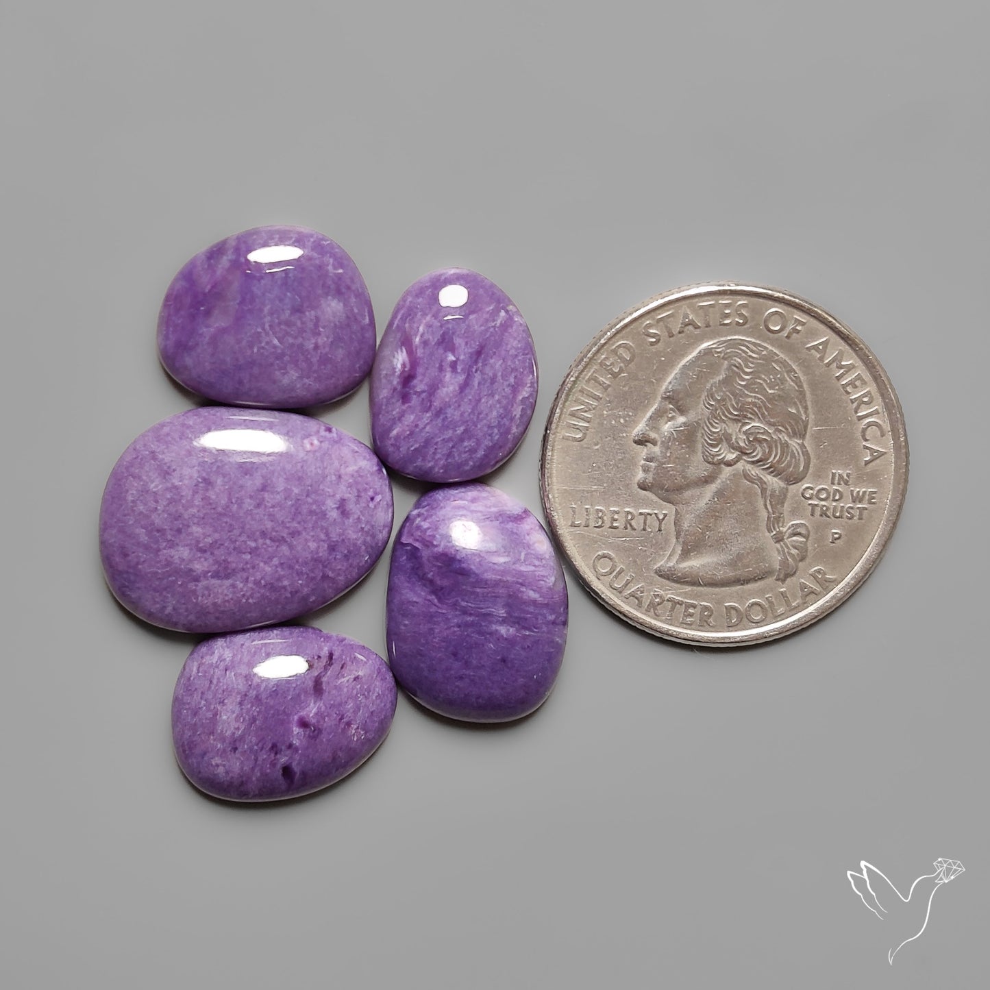 Gem Charoites Plain and Clear Lot
