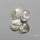 Horse Canyon White Moss Agates Lot