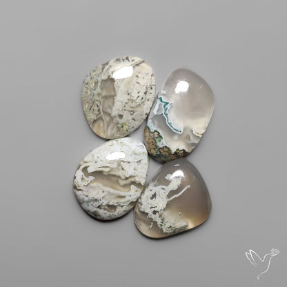 Horse Canyon White Moss Agates Lot