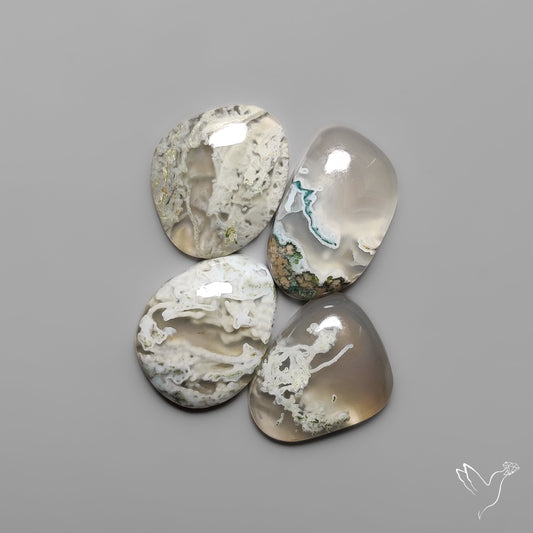 Horse Canyon White Moss Agates Lot