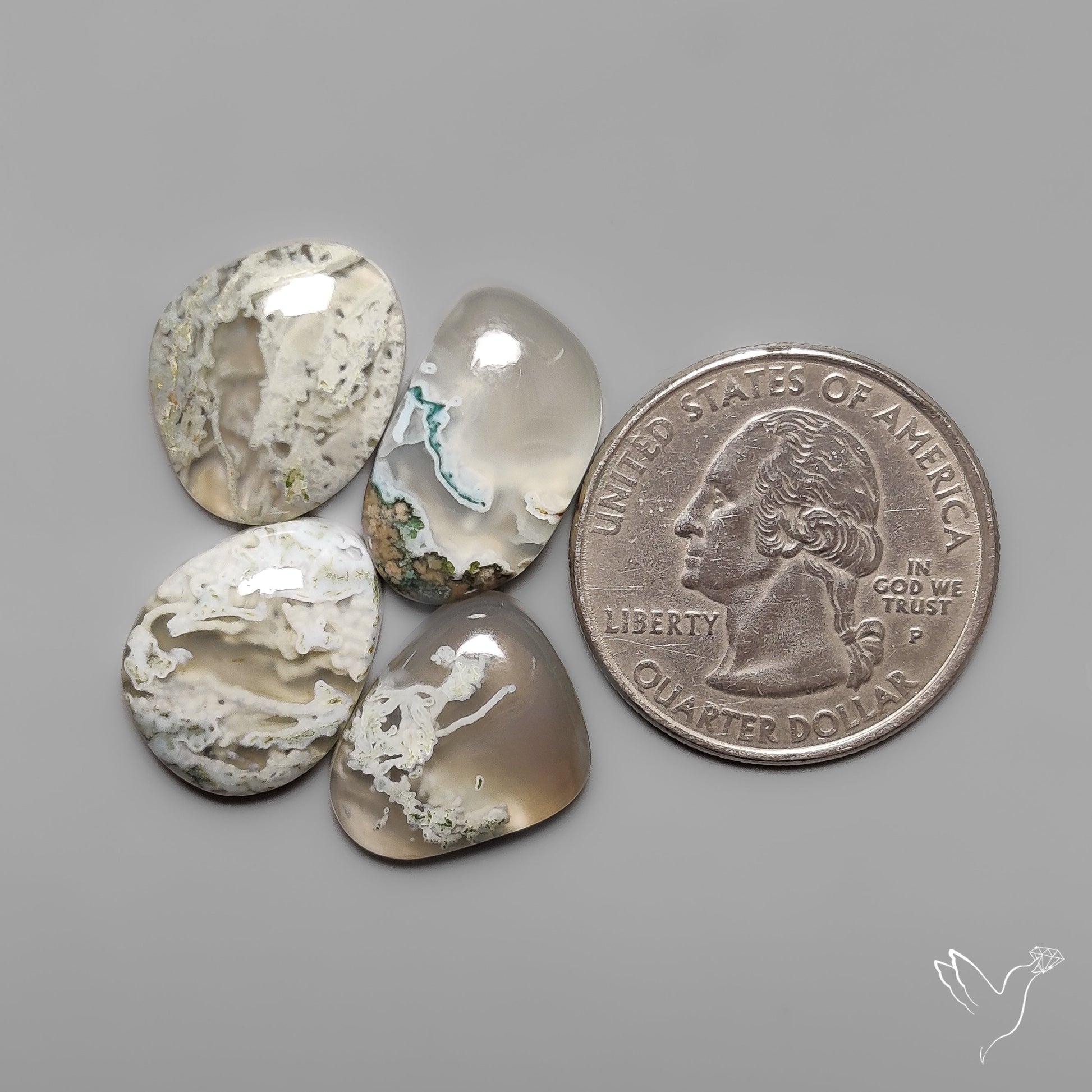 Horse Canyon White Moss Agates Lot