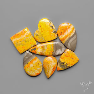 Bumble Bee Jaspers Lot