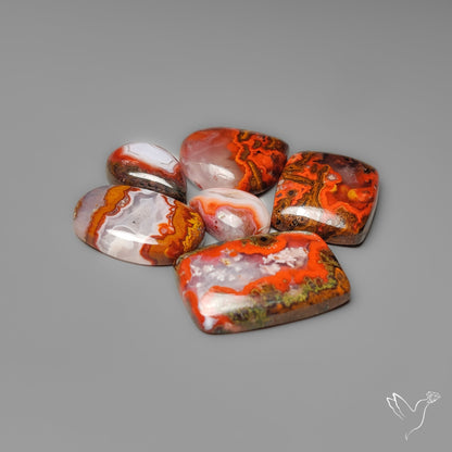 Moroccan Seam Agates Lot