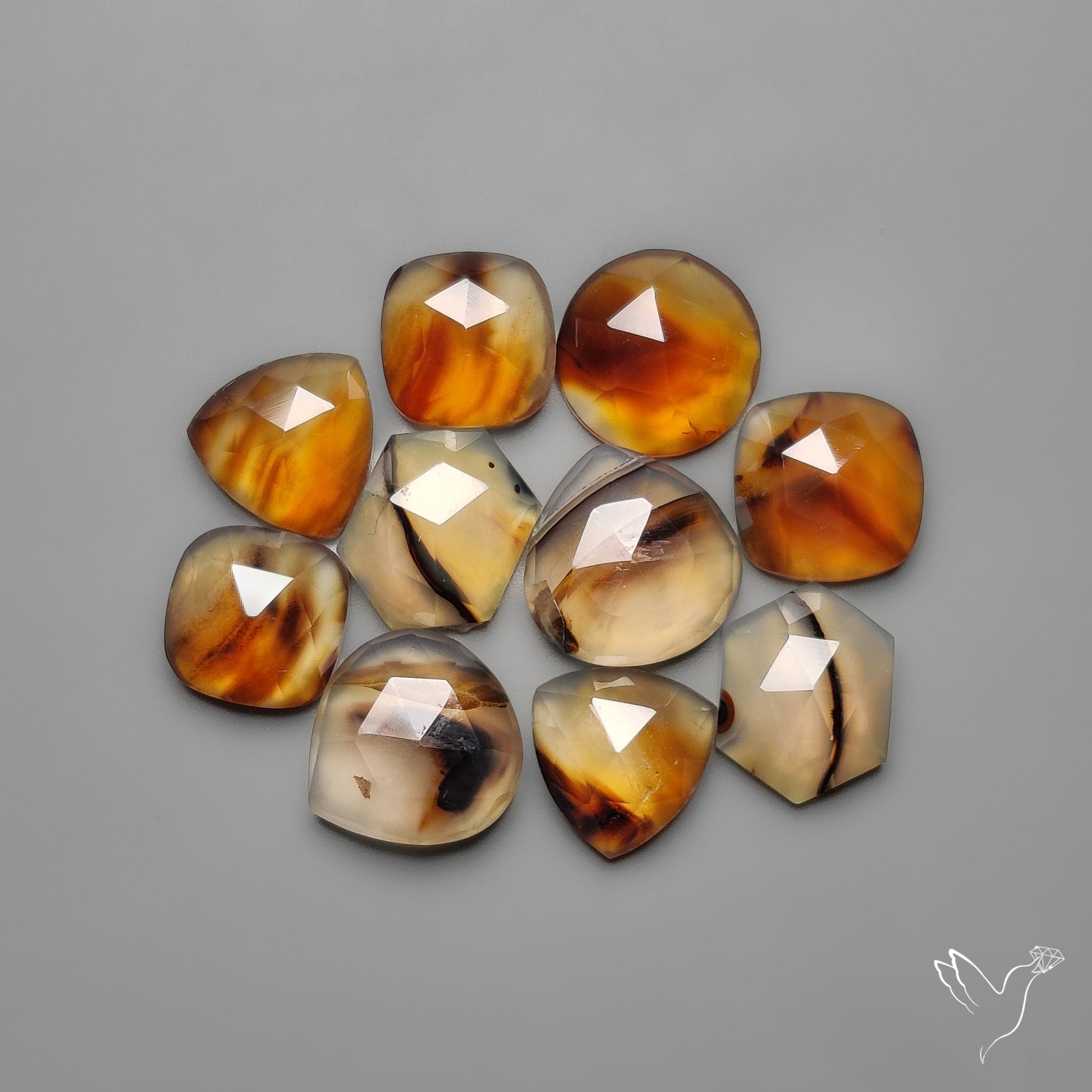 Rose Cut Montana Agates Lot